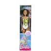 Picture of Barbie Beach Dolls